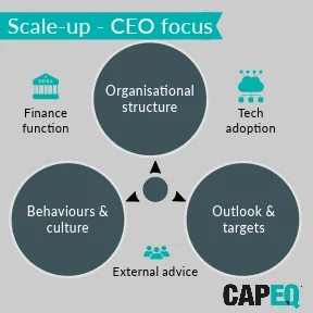 Scale-Up a business CEO focus areas