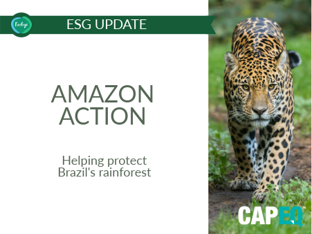 CapEQ backs increased patrols to stop logging Brazilian rainforest